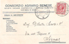 cartolina di siena